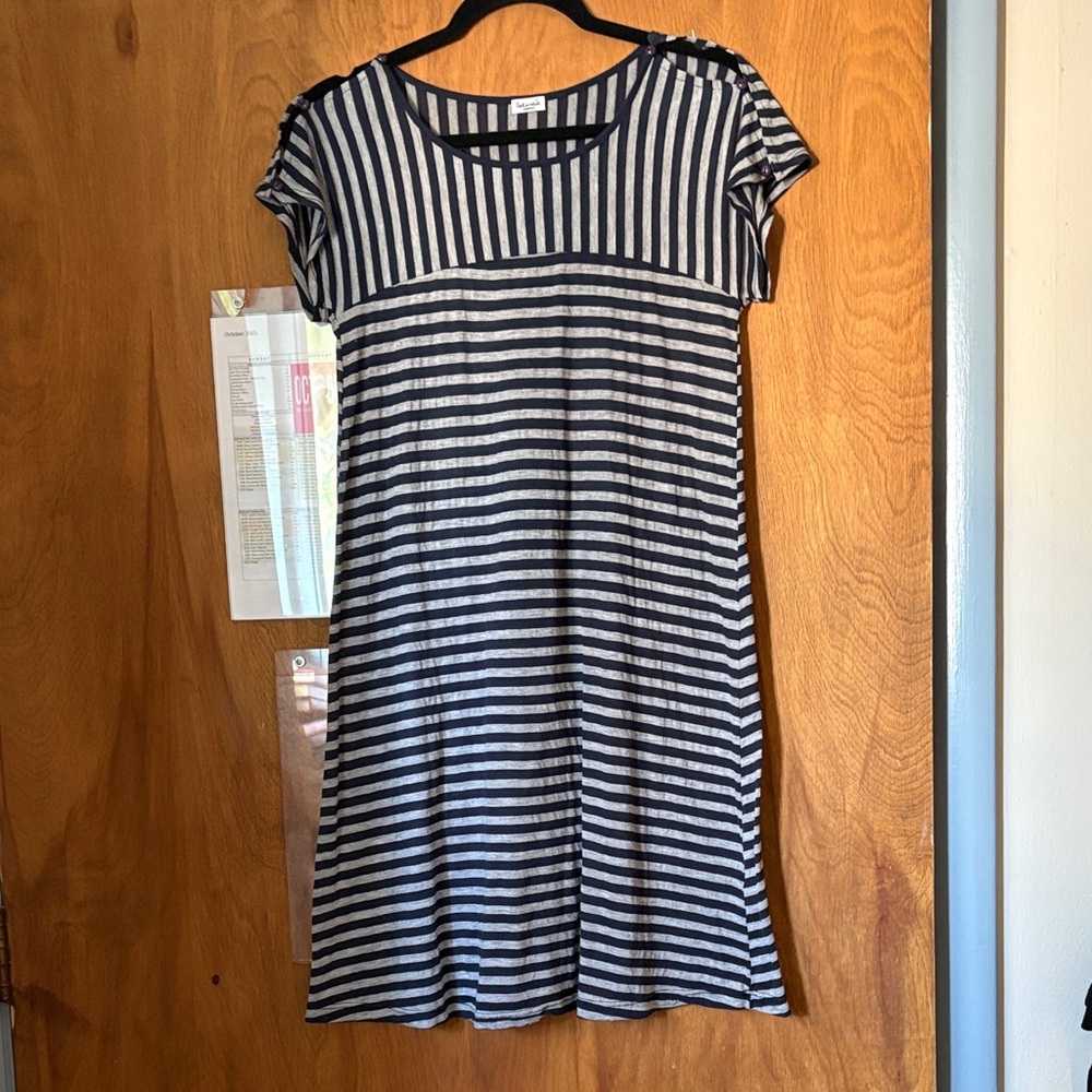 Splendid Dress Navy and Gray Striped